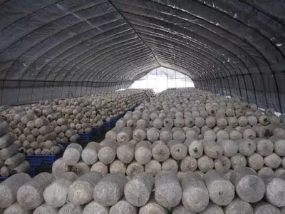 全國(guó)農(nóng)產(chǎn)品及加工副產(chǎn)物18種綜合利用經(jīng)典模式，農(nóng)人必看